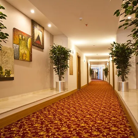 Ekinci اسطنبول