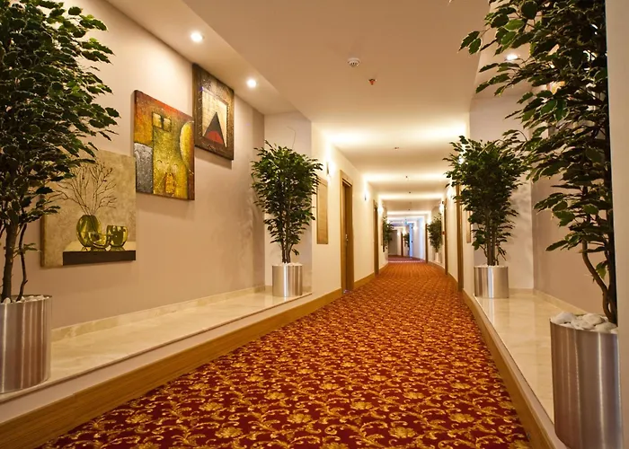 Ekinci Стамбул